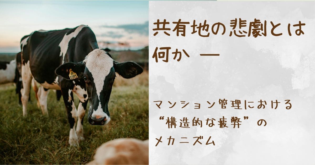 牧場で黒白の牛が草地に立っている写真。背景に複数の牛が見える。右側に『共有地の悲劇とは何か ― マンション管理における構造的な疲弊のメカニズム』という日本語の見出しが配置されている。